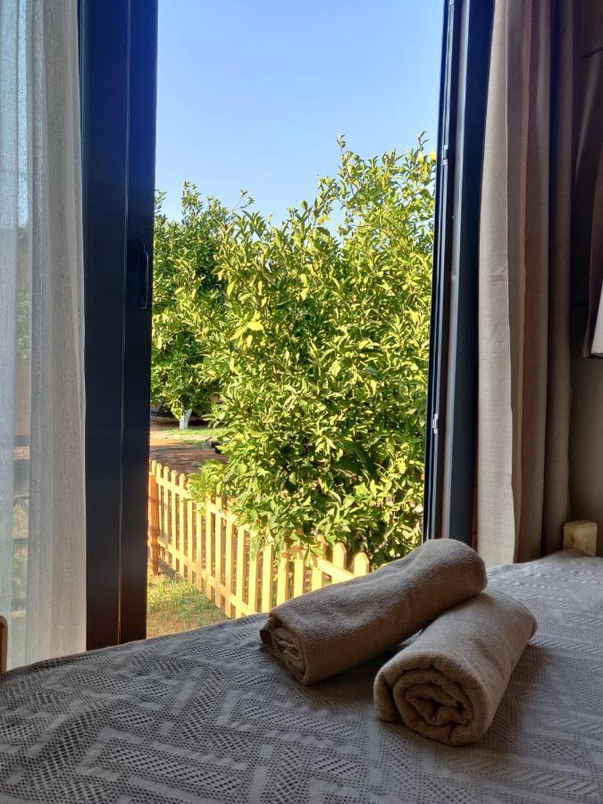 Gaia Tiny Houses Butik Hotel Bodrum Exteriör bild