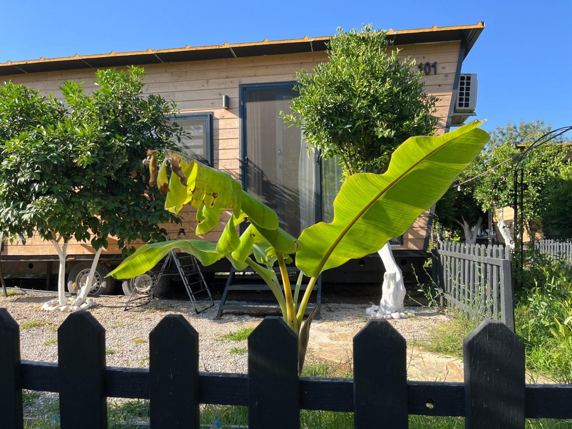 Gaia Tiny Houses Butik Hotel Bodrum Exteriör bild